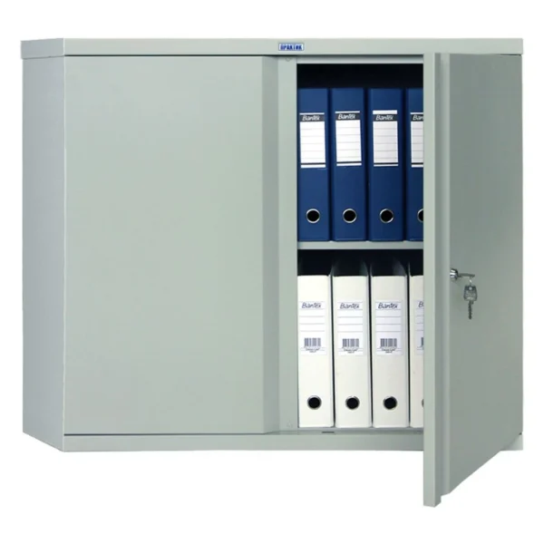 Металлический архивный шкаф Практик М 08