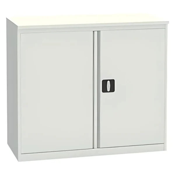 Металлический архивный шкаф ALR 8896